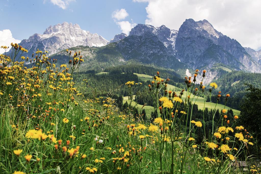 Appartementhaus Salzmann Leogang Exteriör bild
